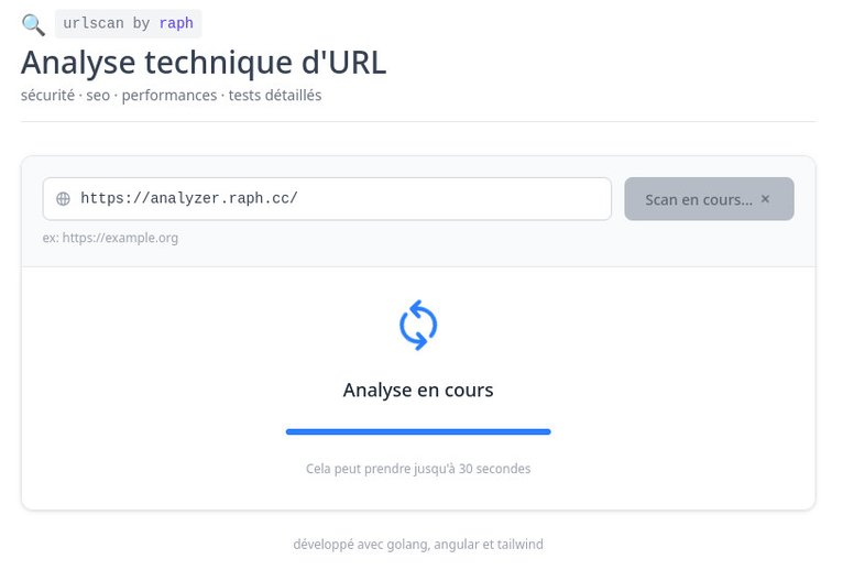 Analyse en cours sur analyzer.raph.cc